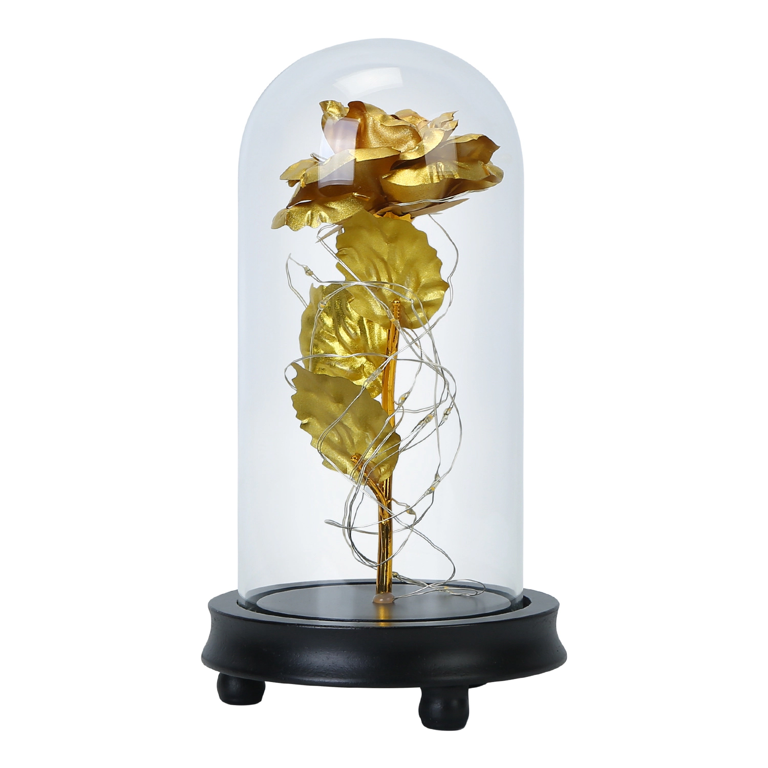 IMounTEK Unisex LED Foil Rose Light With Glass Dome