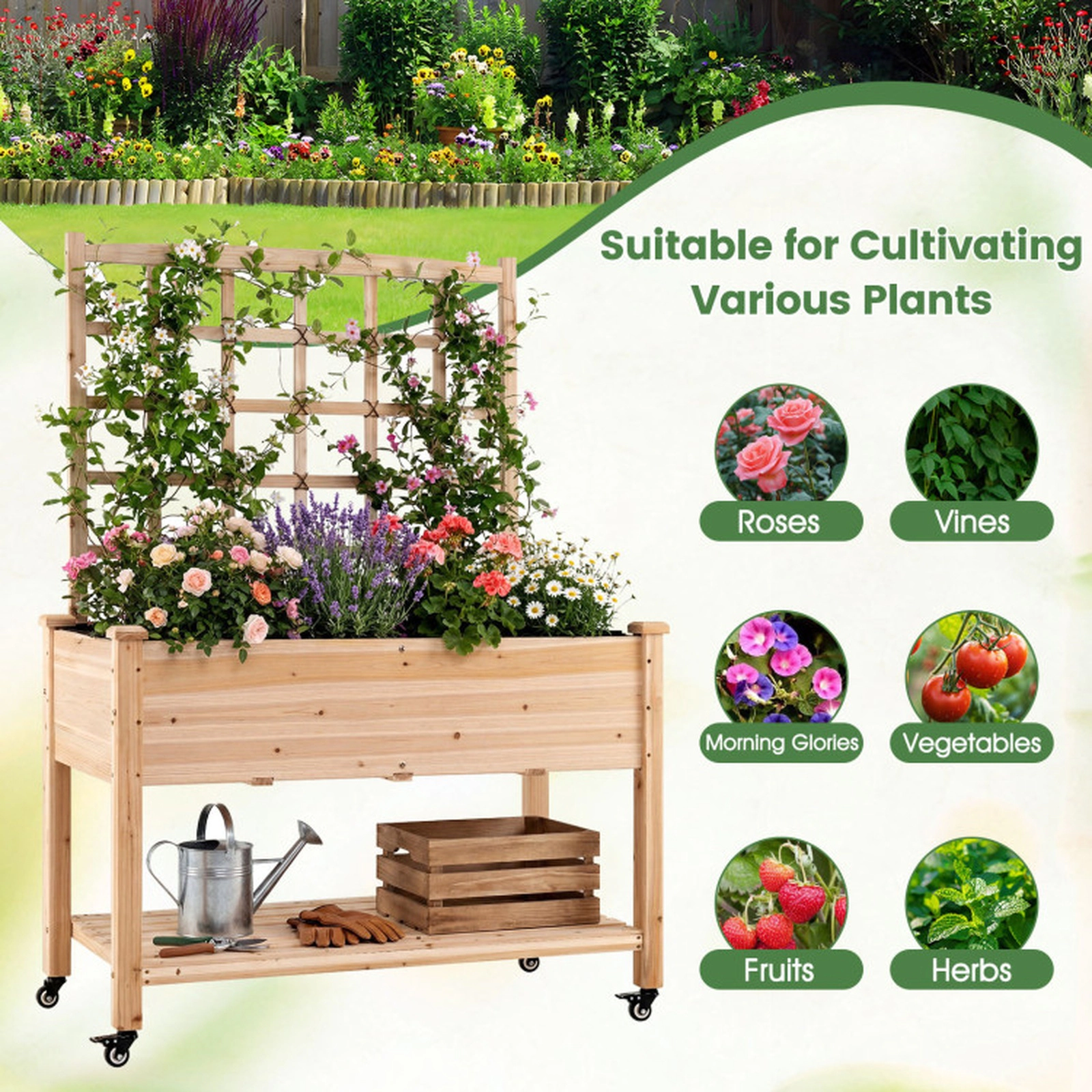 SUGIFT 175-lb Capacity Fir Wood Rolling Raised Garden Bed with Trellis Storage Shelf and 4 Swivel Wheels