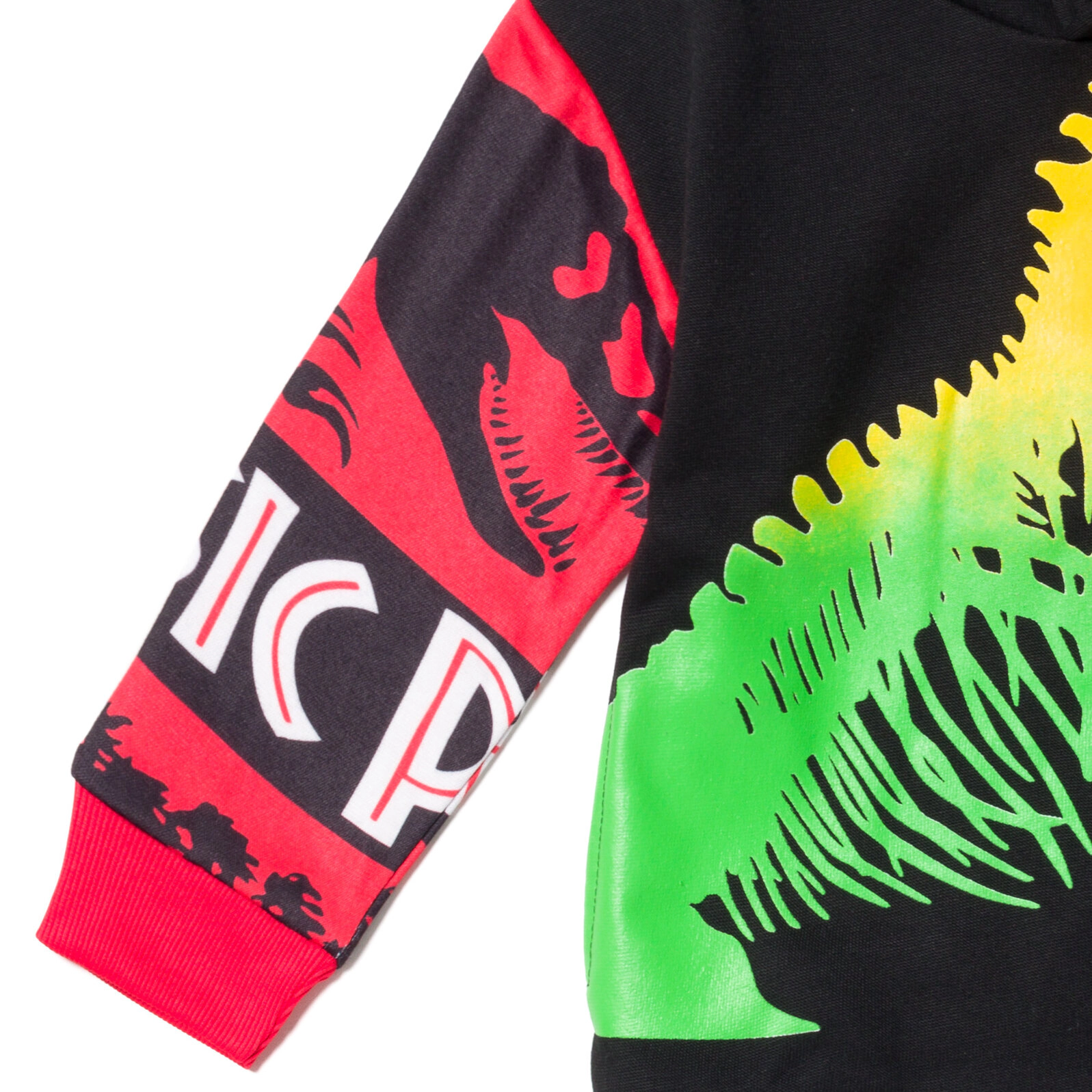 Jurassic World Park Boys' Fleece Hoodie