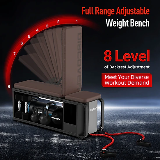 HARISON Adjustable Weight Bench for Home Gym with Dumbbell Storage Rack ...