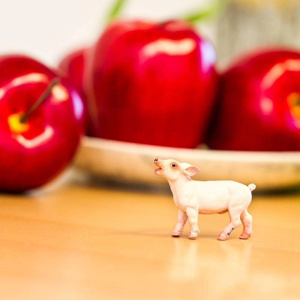Safari Ltd. - Piglet Kids Toy Figure
