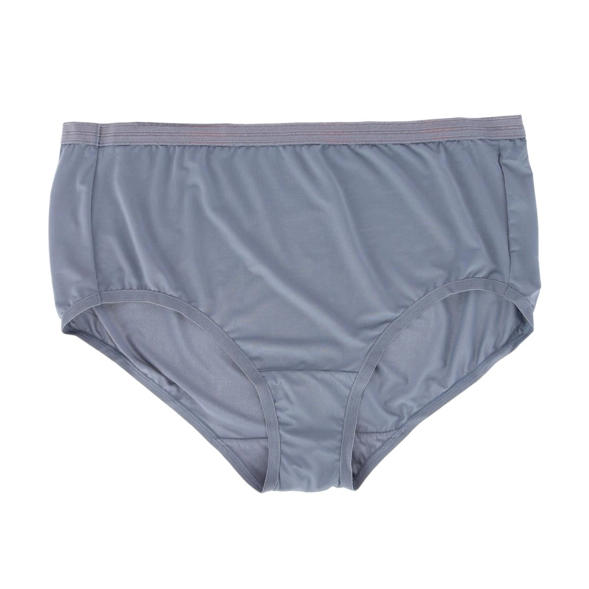 Fruit of the Loom Women's Plus Microfiber Brief Panty (6 Pack)