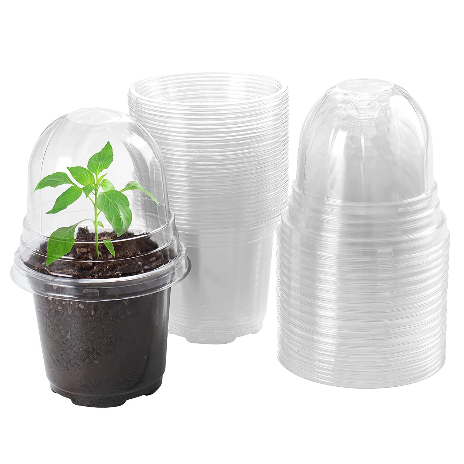 GBruno 30-Piece Clear Plant Nursery Pots With Domes