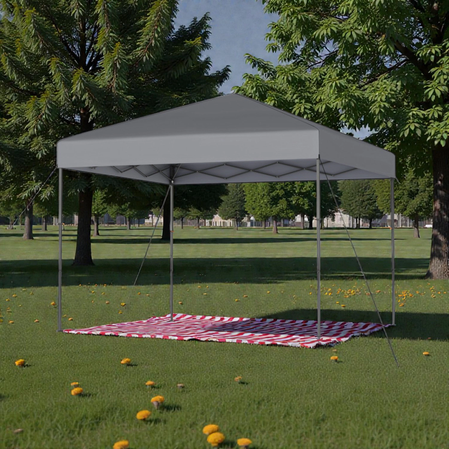 Hivvago Portable Pop-Up Canopy Tent with Carry Bag
