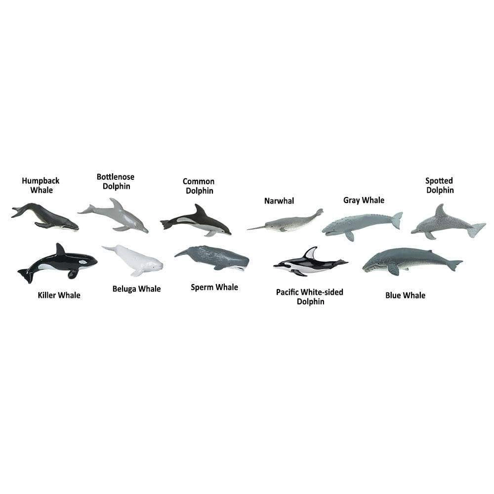 Safari Ltd. - Whale & Dolphins TOOB - contains 11 Mini Figurines