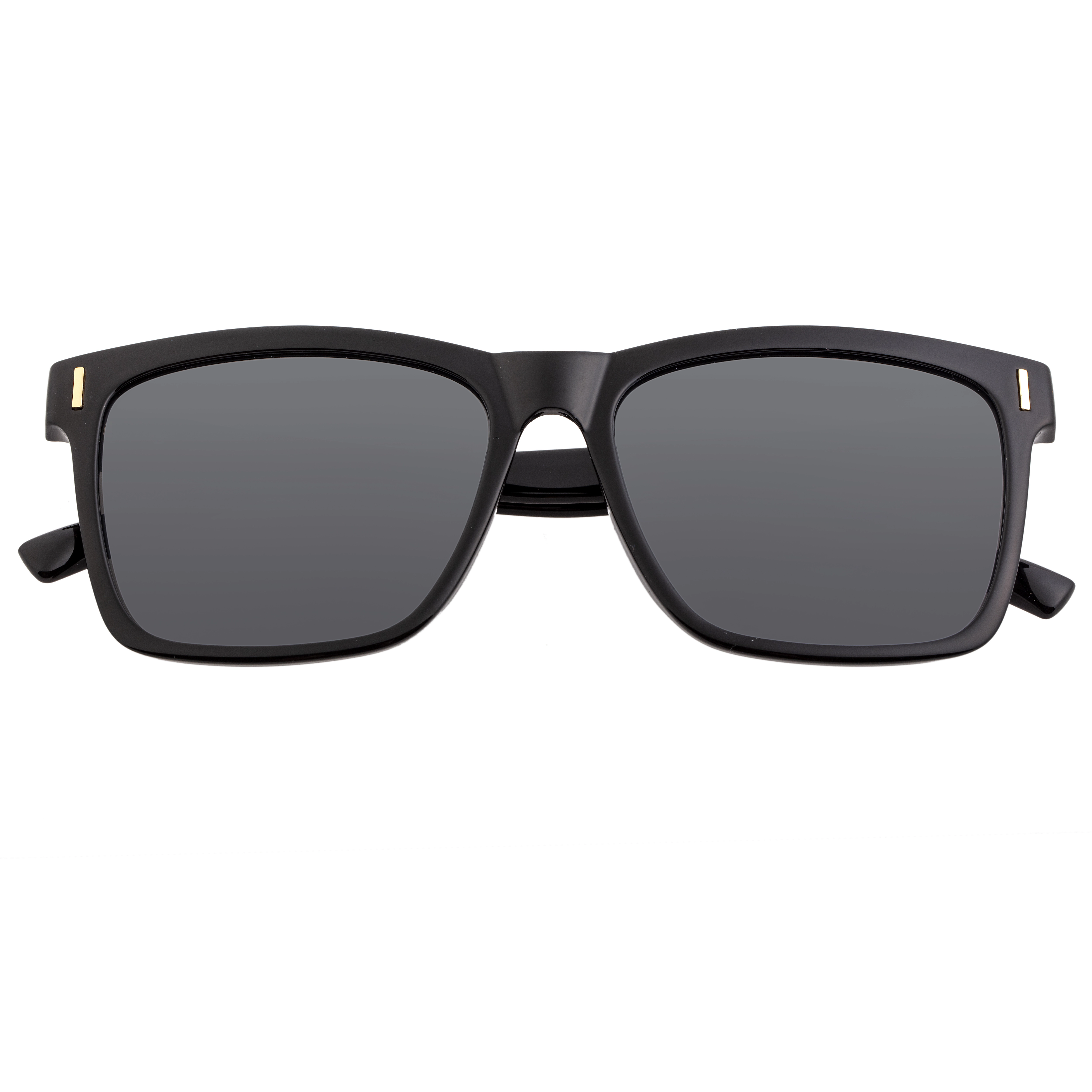BREED Pictor Mens Polarized Sunglasses