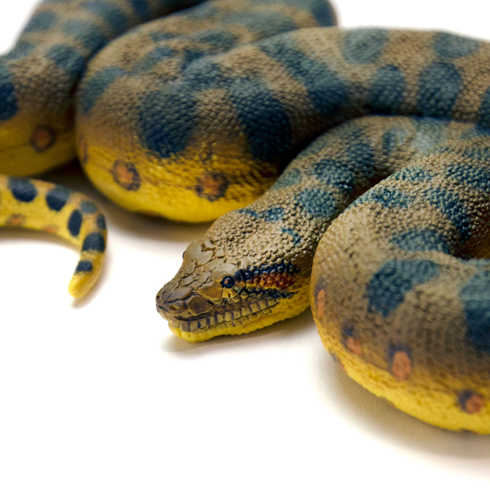 Safari Ltd. - Green Anaconda Kids Toy Figure
