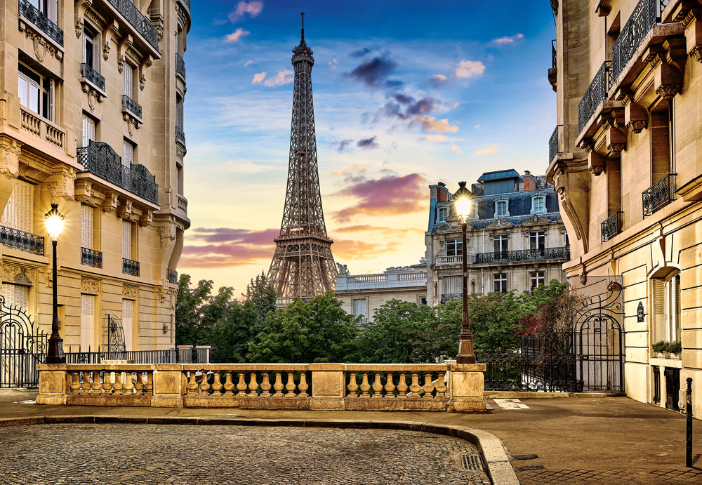 CASTORLAND 1000 Piece Jigsaw Puzzle, Walk in Paris at Sunset, Puzzle of France, Eiffel, C-104925-2