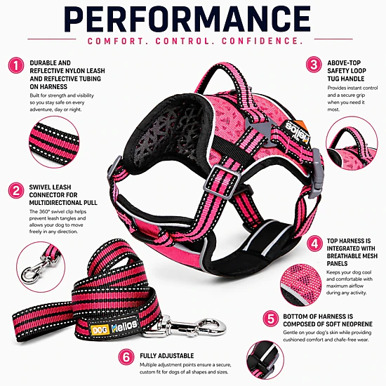 Dog Helios ® Dog Chest Compression Pet Harness and Leash Combo - JCPenney