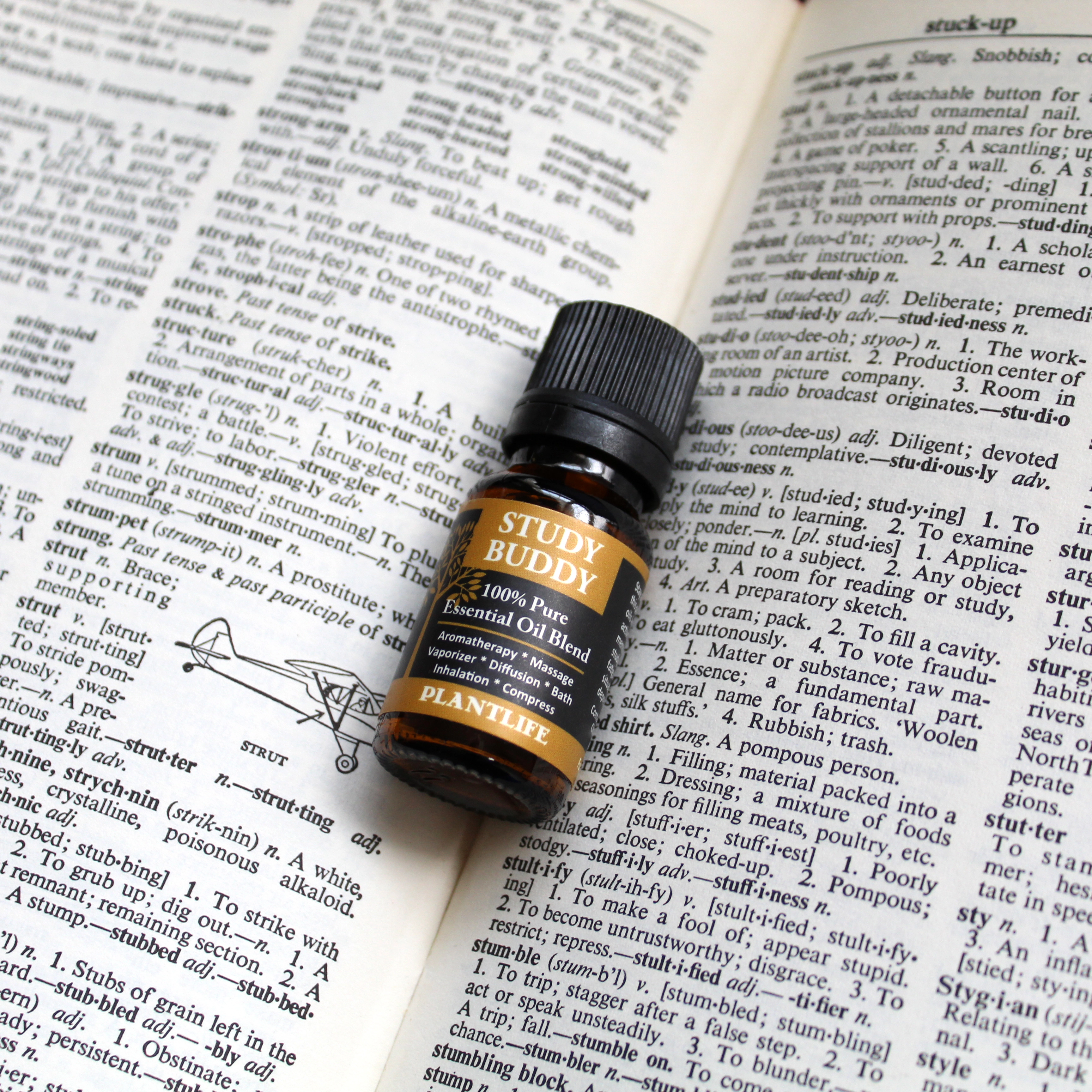 Plantlife Study Buddy Essential Oil Blend