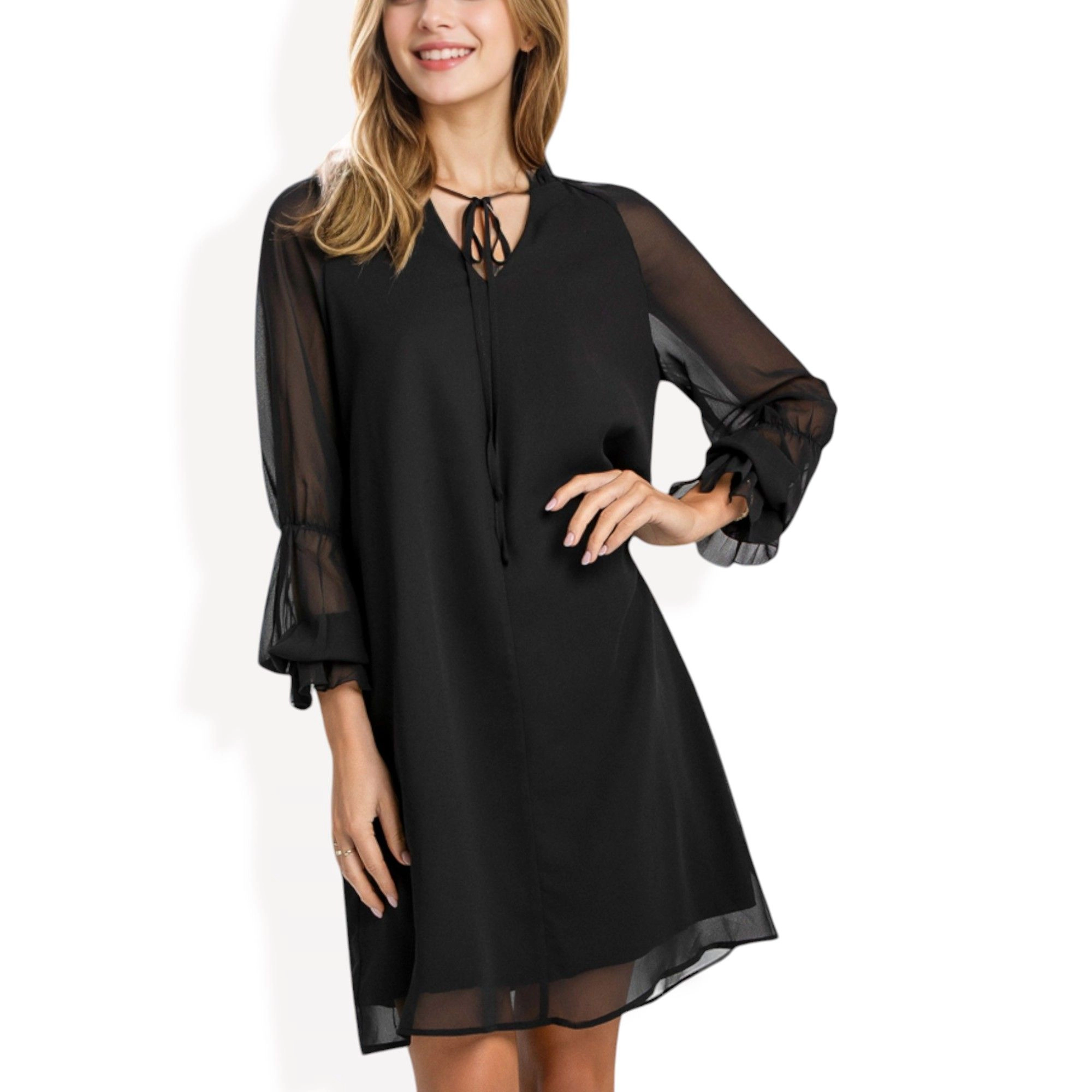 Anna-Kaci Women's A-Line Chiffon Sheer Sleeves Tie Neck Dress