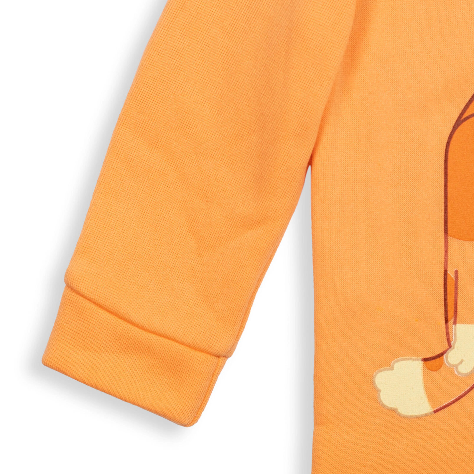 Bluey Boys' Fleece Quarter-Zip Hoodie