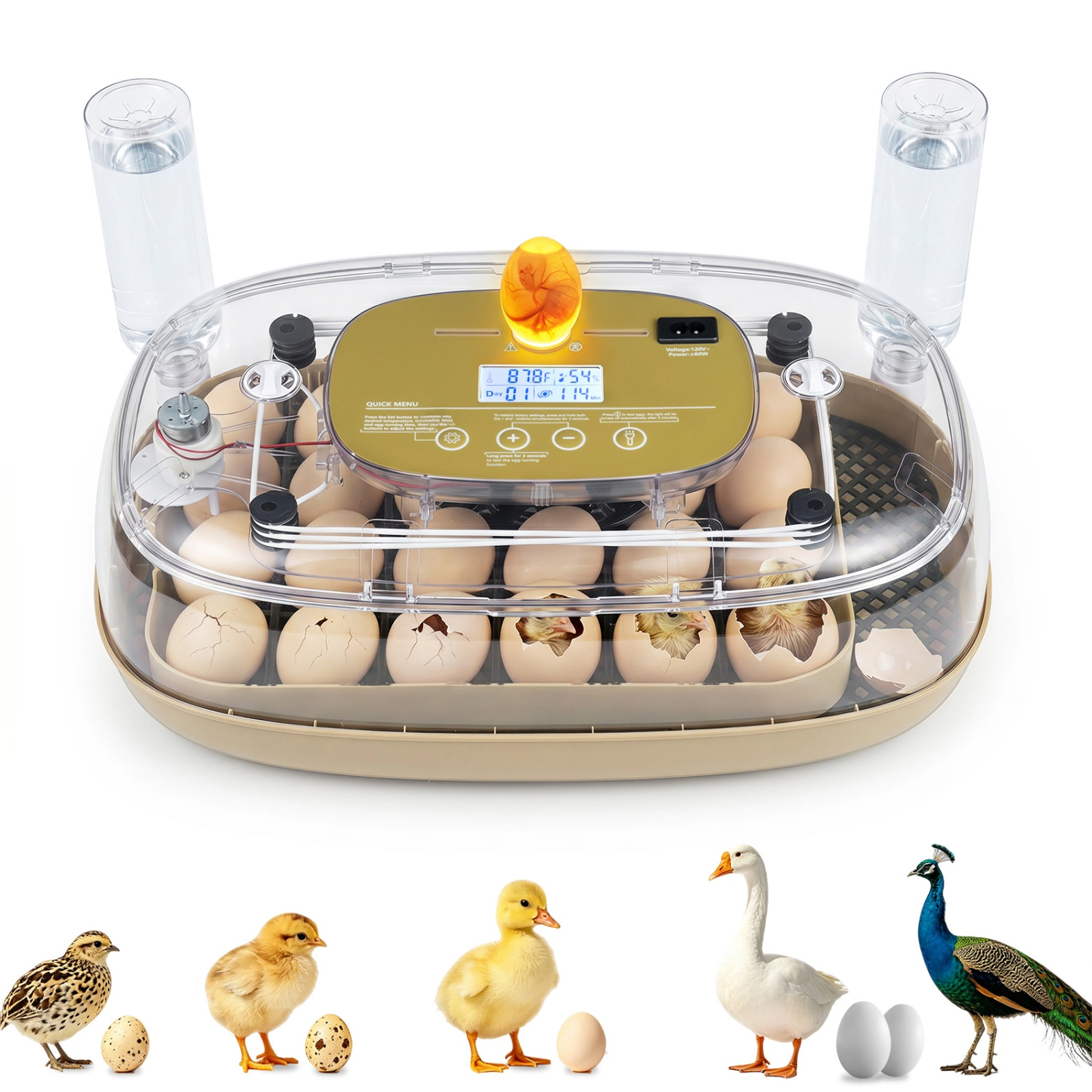 SUGIFT Coffee Egg Incubator for 21 Chicken Eggs with Automatic Turning Humidity Control and Candler