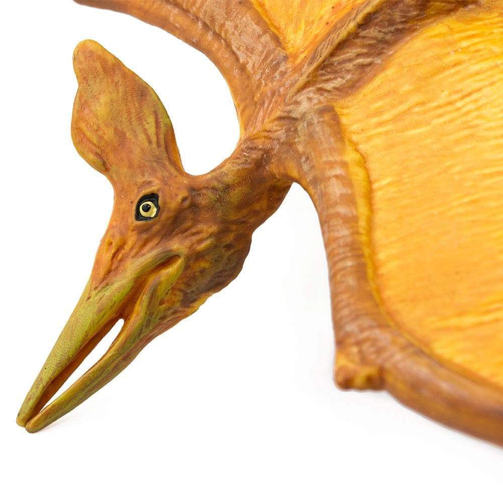 Safari Ltd. - Pteranodon Kids Prehistoric/Dinosaur Toy Figure