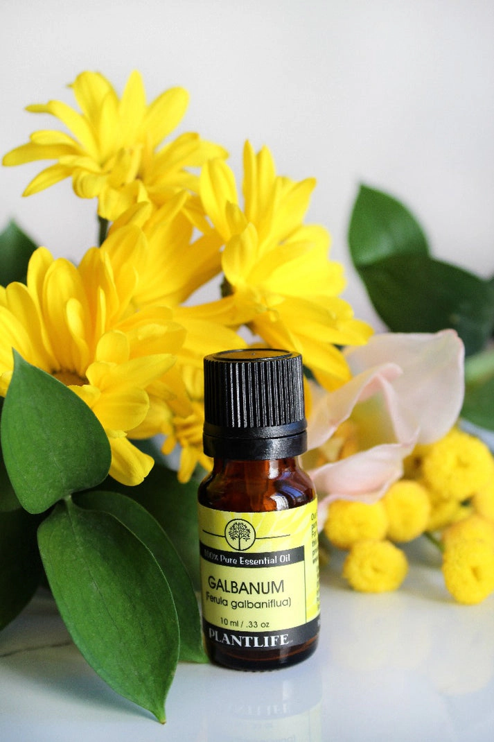 Plantlife Galbanum Essential Oil