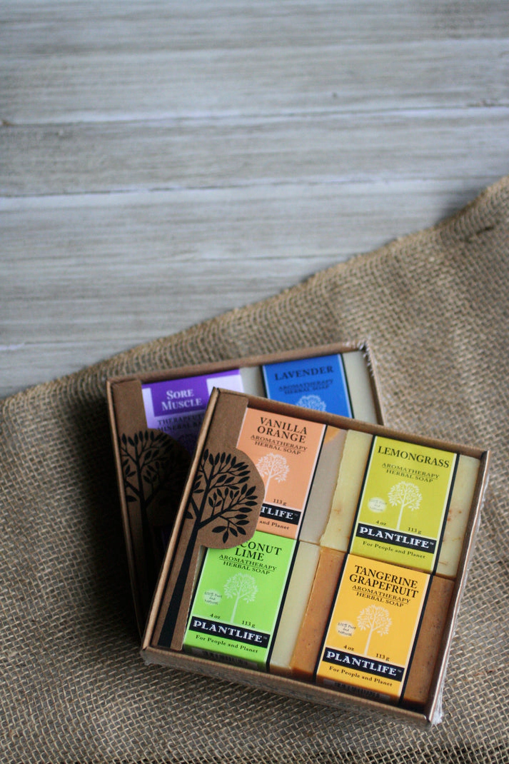 Plantlife Fruit Aromatherapy Herbal Soap 4-Pack Gift Set