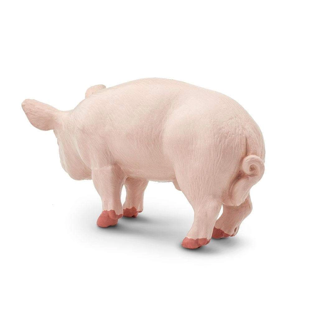 Safari Ltd. - Boar Kids Toy Figure