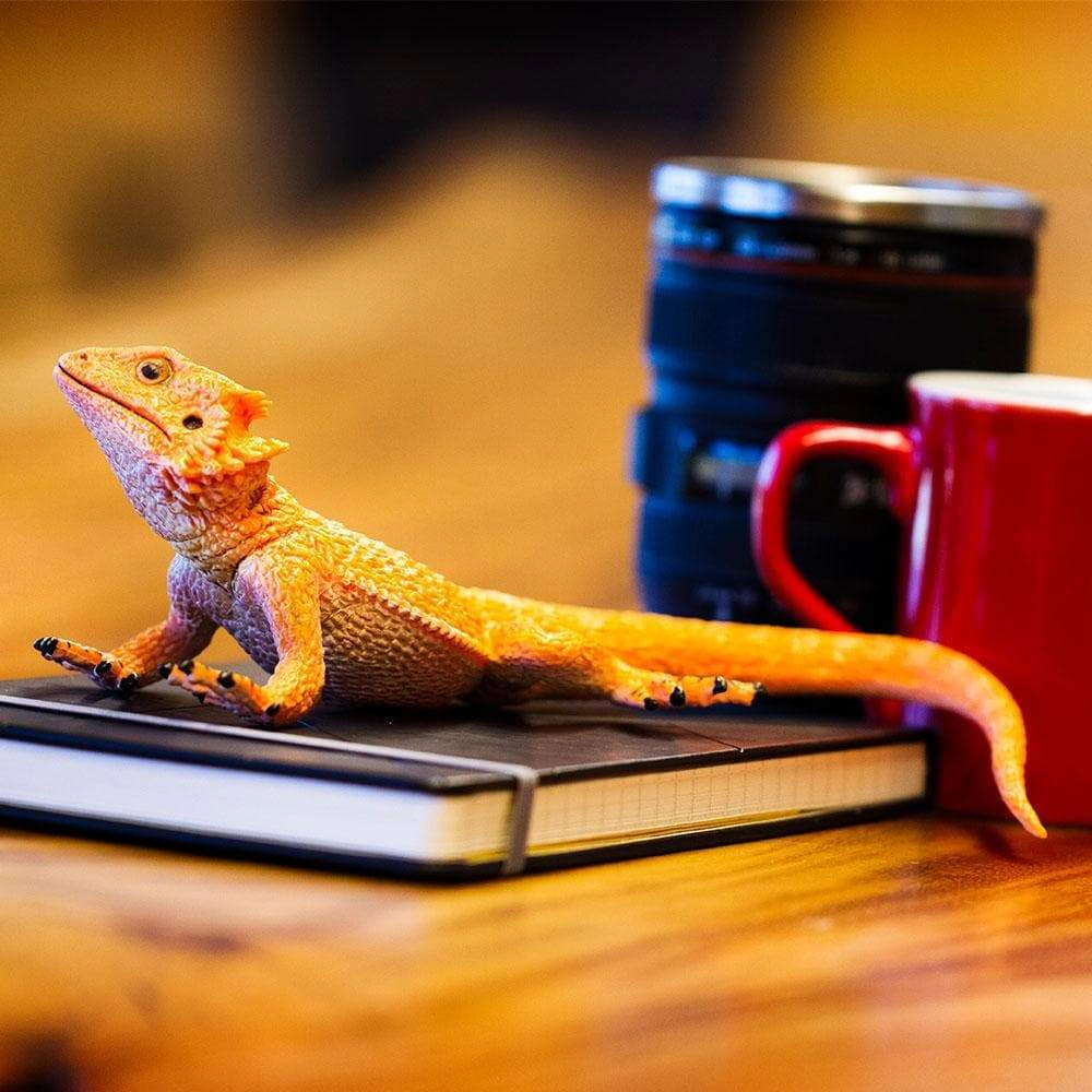 Safari Ltd. - Bearded Dragon Kids Toy Figure