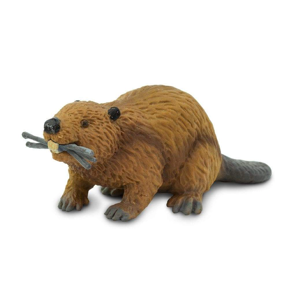 Safari Ltd. - Beaver Kids Toy Figure