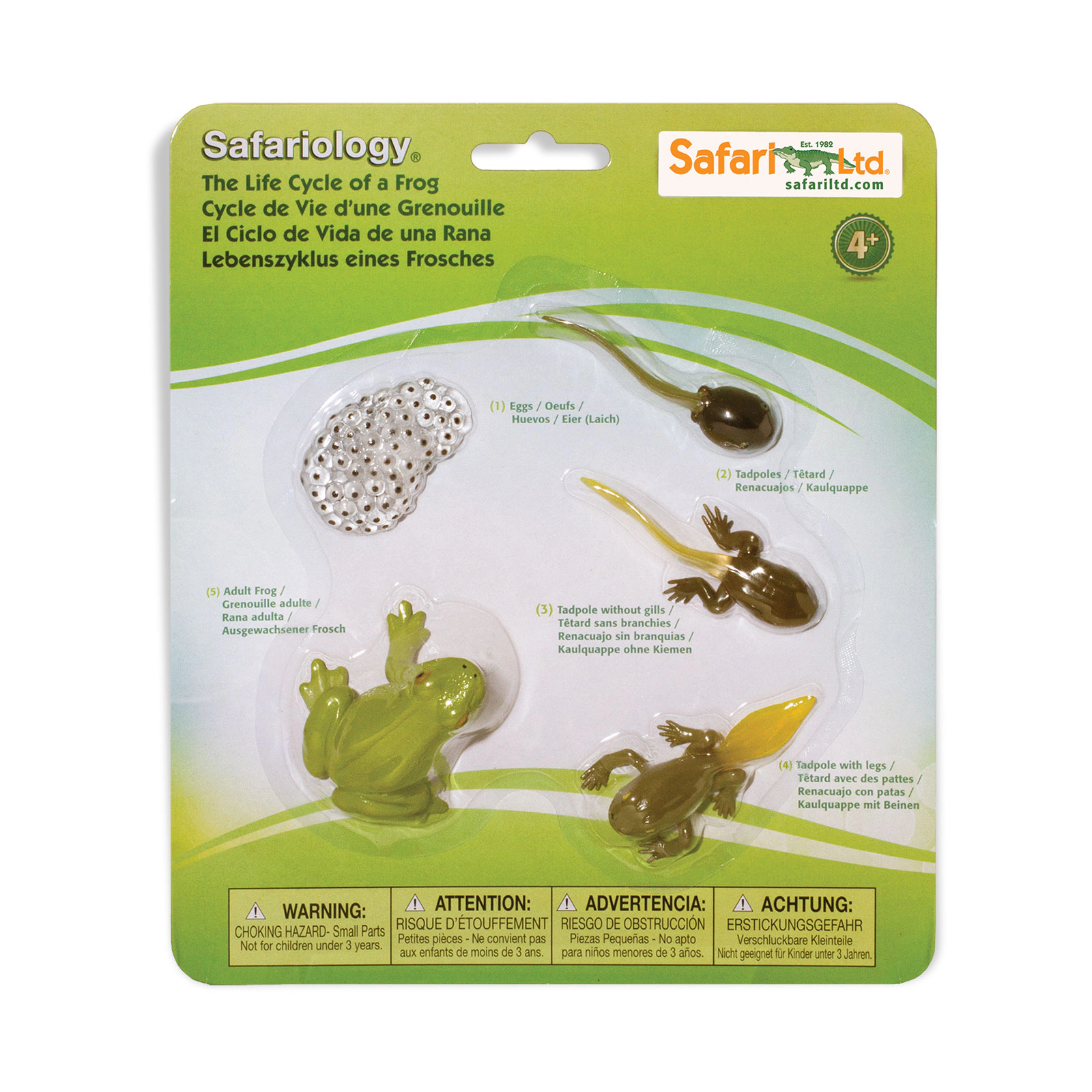 Safari Ltd. - Life Cycle of a Frog Set -Miniature Lifecycle Collection Toy