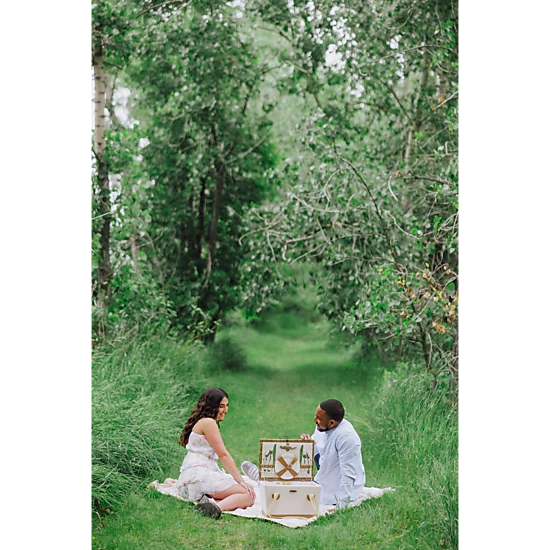 PICNIC TIME Lemongrove Picnic Basket for 2