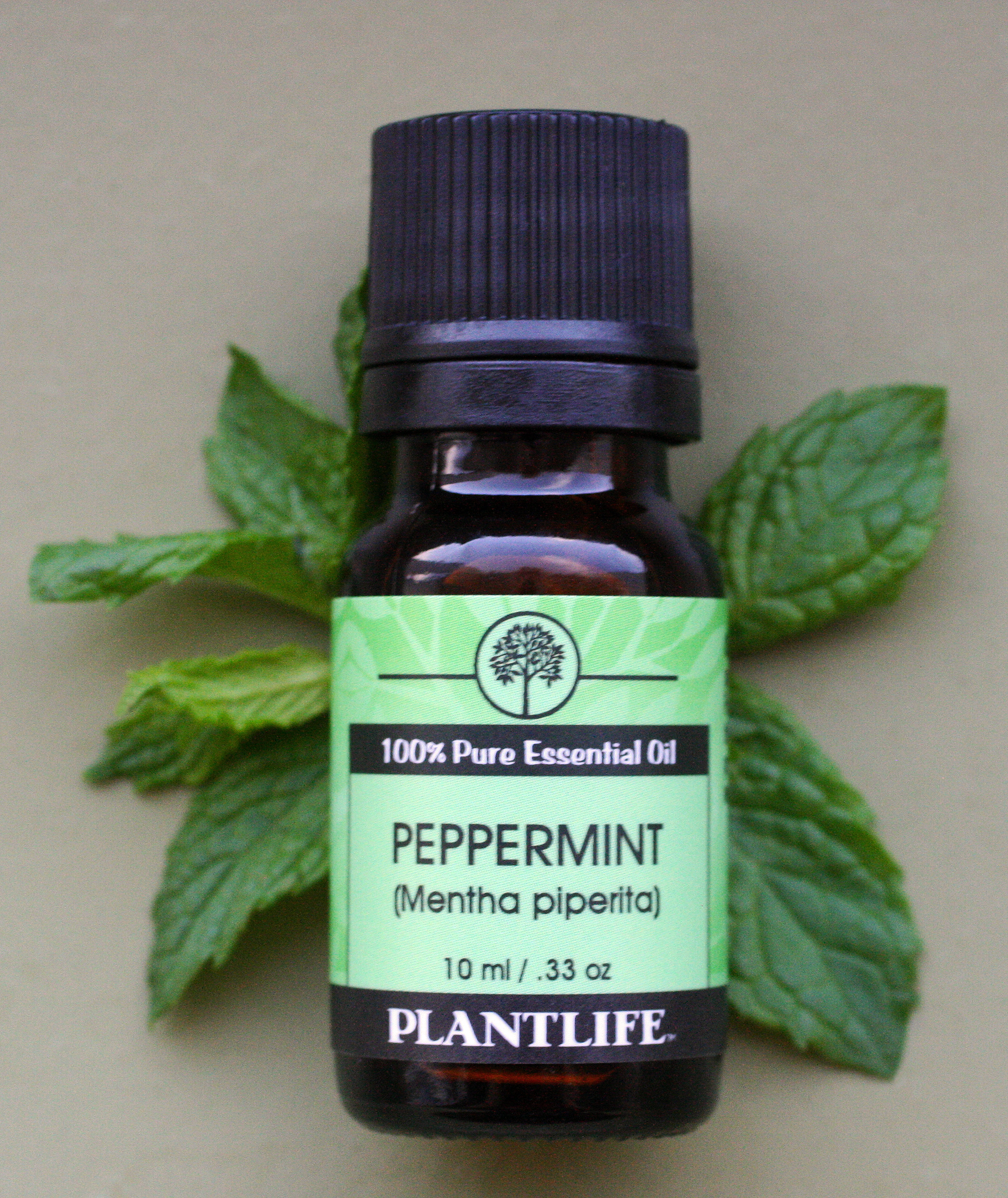 Plantlife Basic Sampler Essential Oil Set 6-Pack