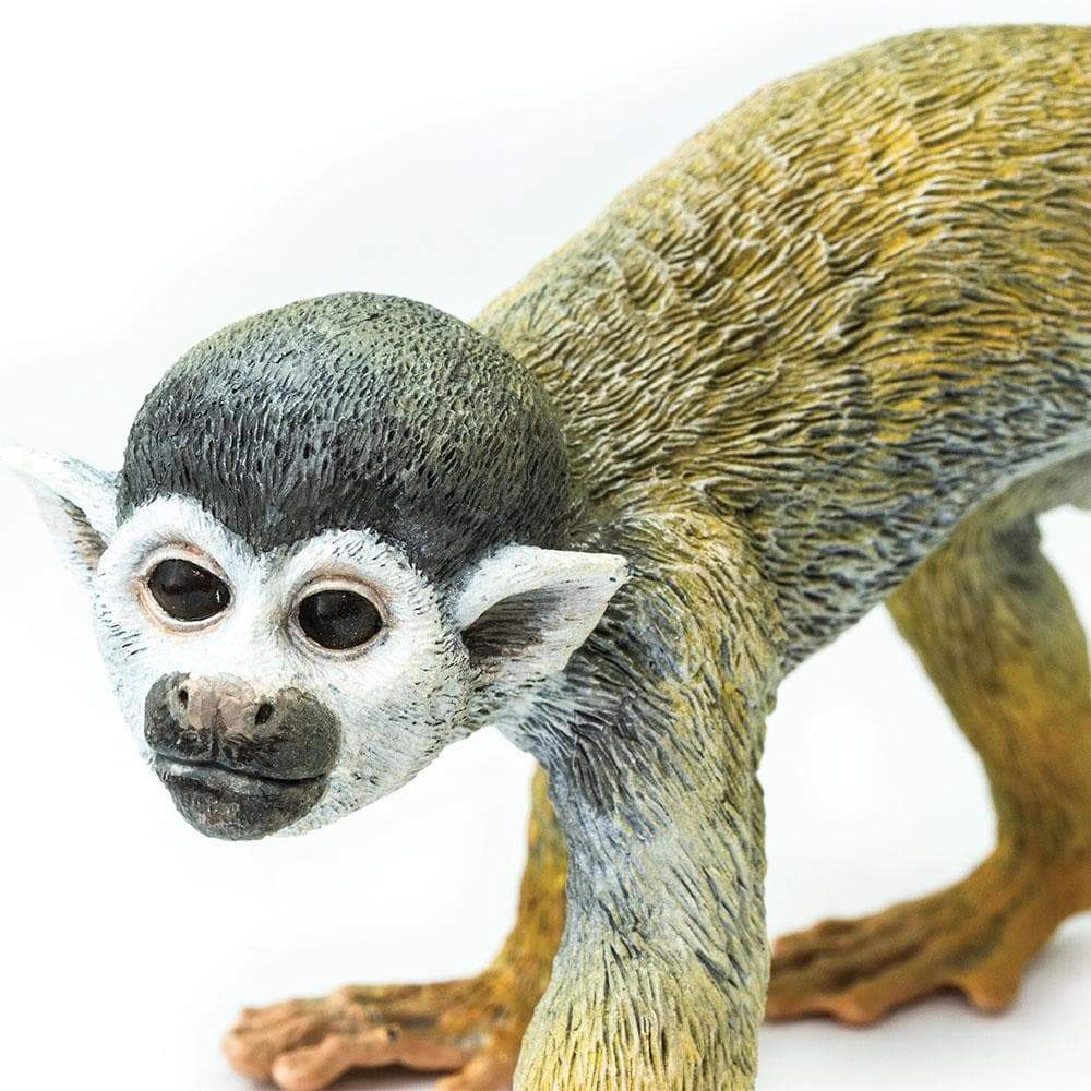 Safari Ltd. - Squirrel Monkey Kids Toy Figure