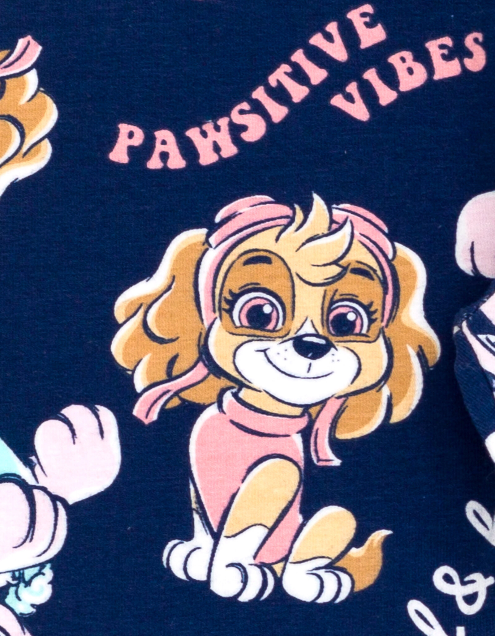 Paw Patrol Girls' Fleece 2-Piece Sweatshirt and Leggings Set