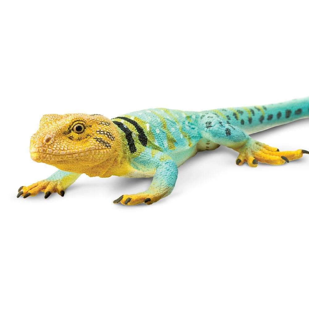 Safari Ltd. - Collared Lizard Kids Toy Figure