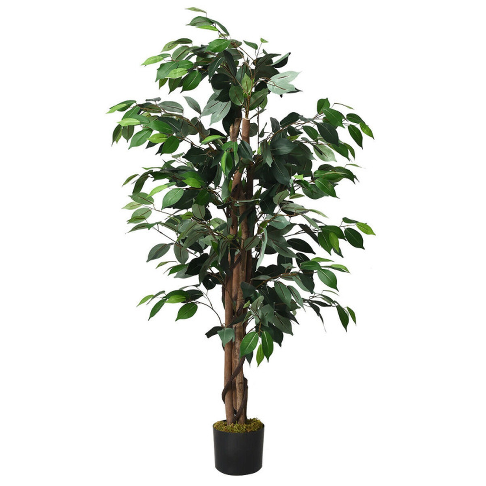 SUGIFT 4-ft 504 Leaves Multiple Trunks Moss Covered Cement Base Artificial Ficus Tree 5.9-in Pot 9-lb Green