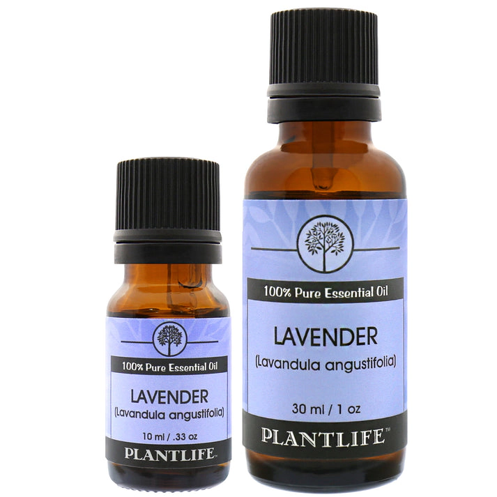Plantlife Lavender Essential Oil