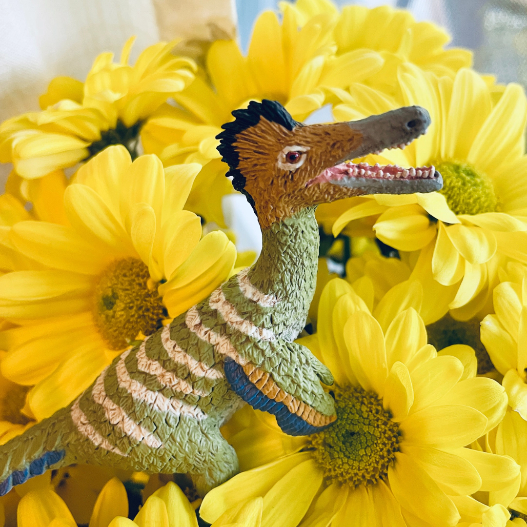 Safari Ltd. - Austroraptor Kids Prehistoric/Dinosaur Toy Figure