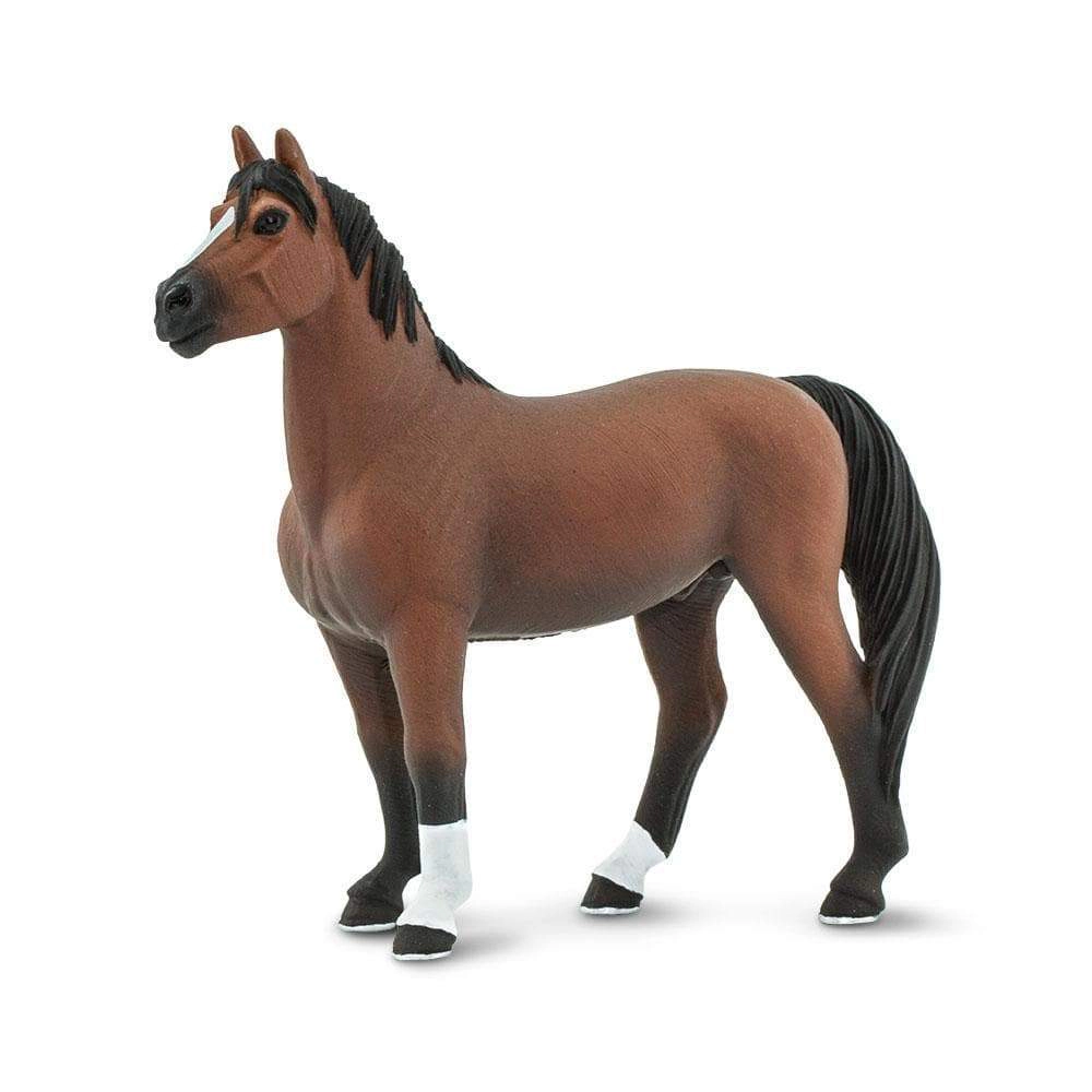 Safari Ltd. - Morgan Stallion Kids Toy Figure