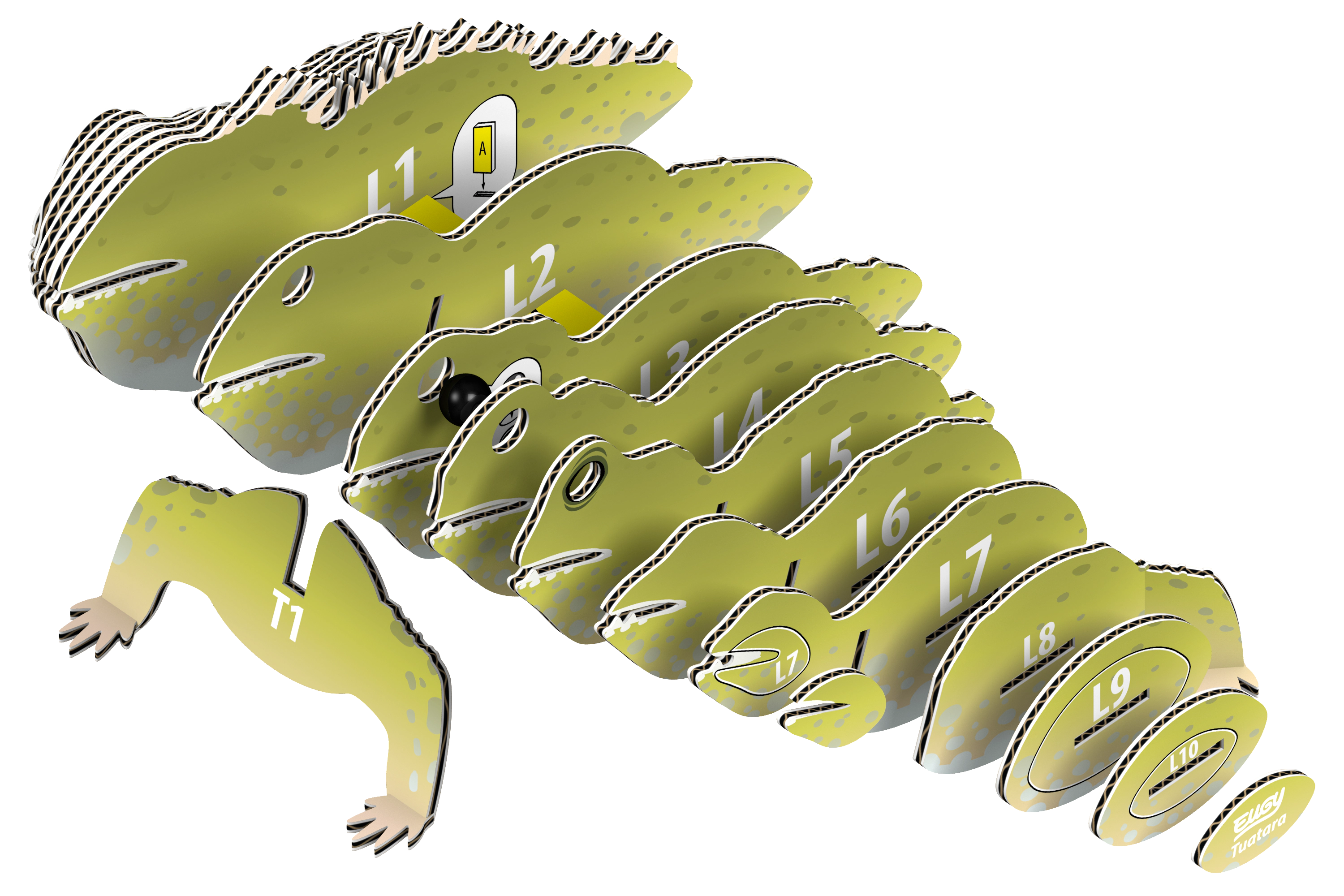 EUGY Tuatara 3D Puzzle - contains 24 puzzle pieces