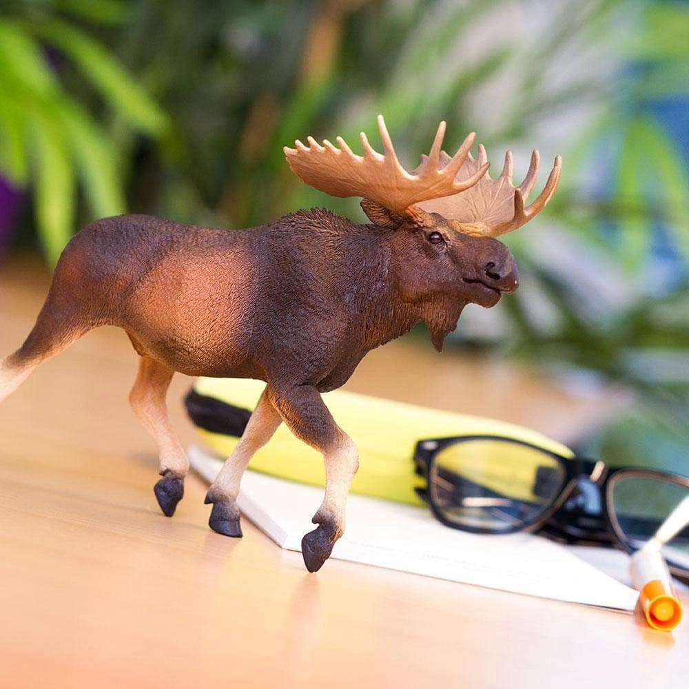 Safari Ltd. - Moose Kids Toy Figure