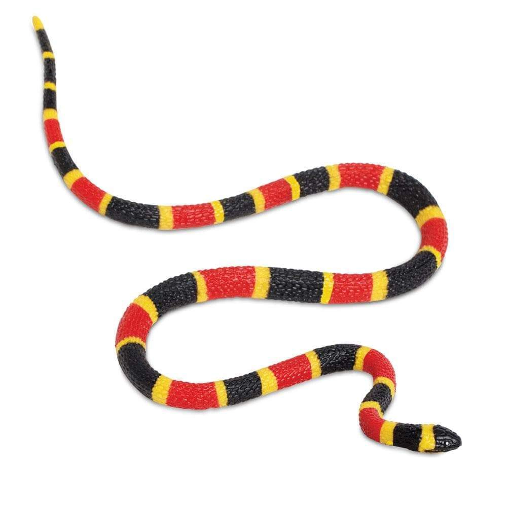 Safari Ltd. - Coral Snake Baby Kids Toy Figure
