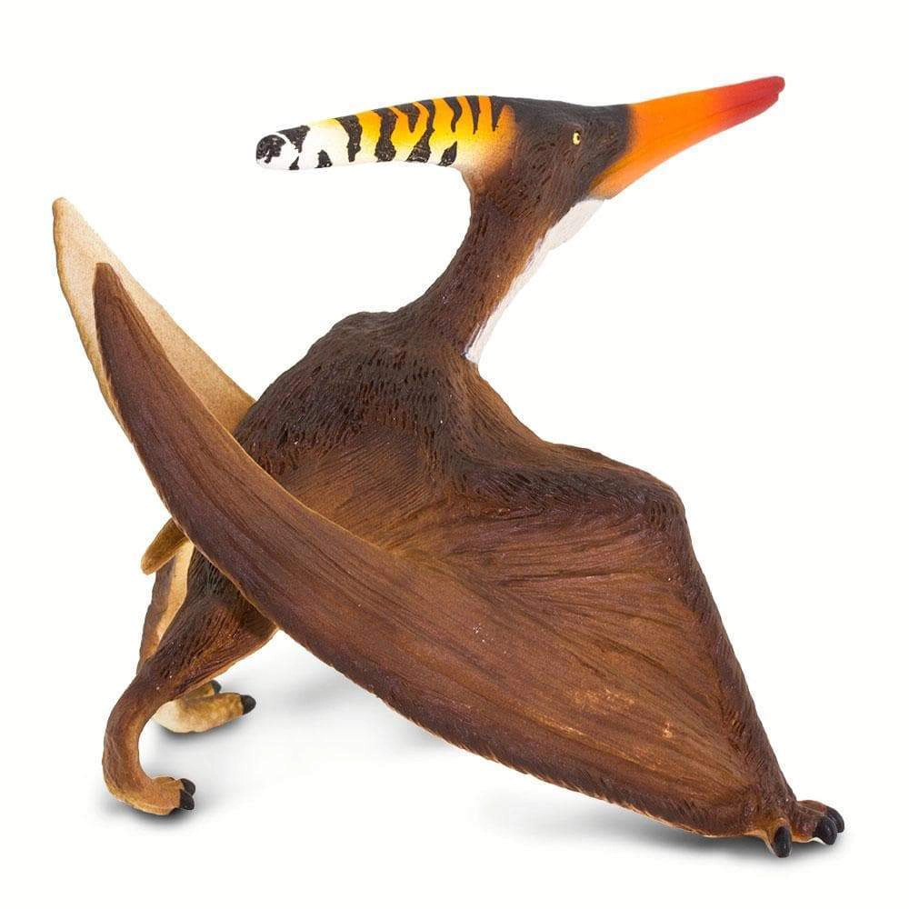 Safari Ltd. - Pteranodon Kids Prehistoric/Dinosaur Toy Figure