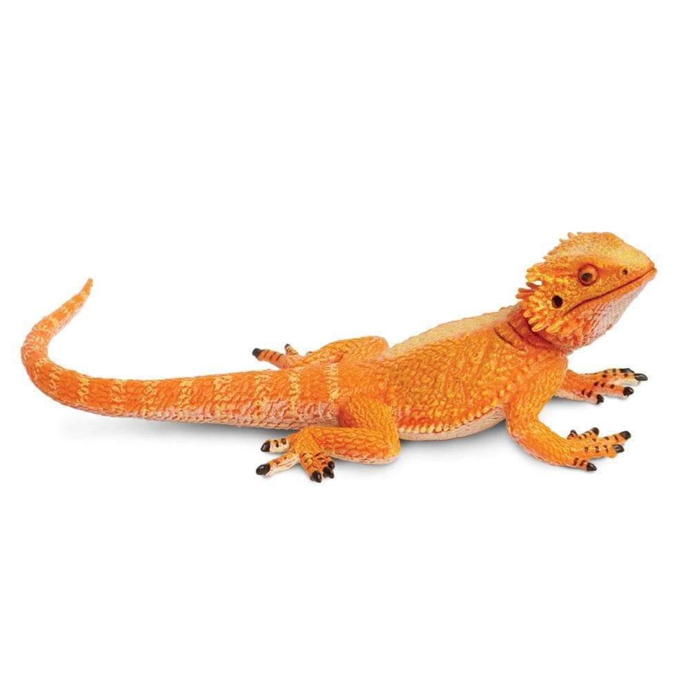 Safari Ltd. - Bearded Dragon Kids Toy Figure