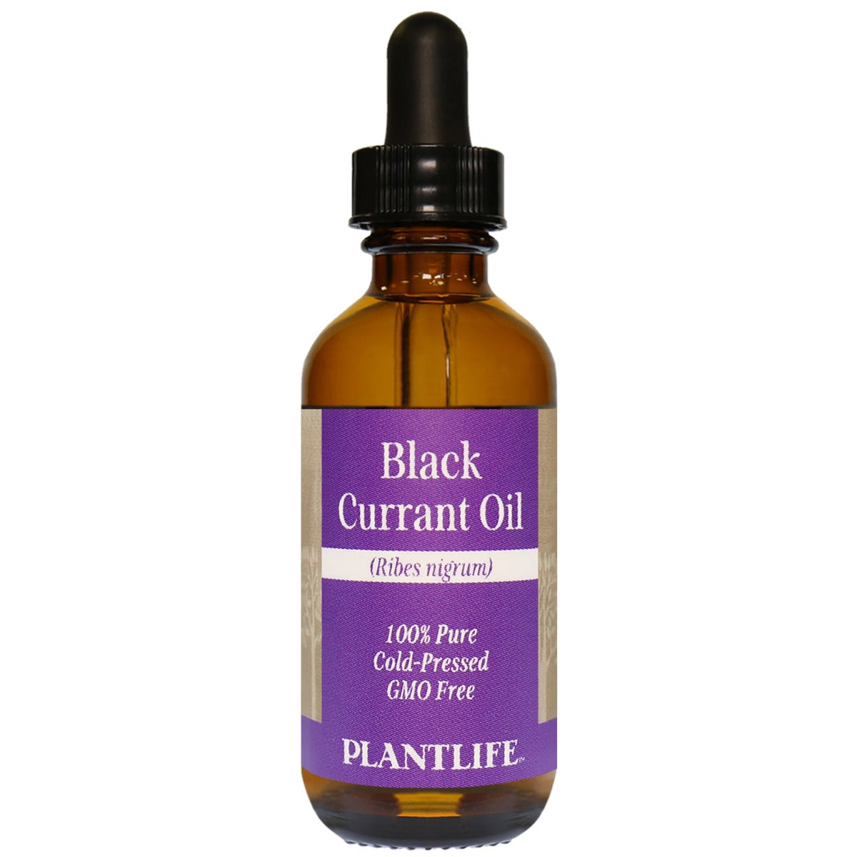 Plantlife Black Currant Carrier Oil
