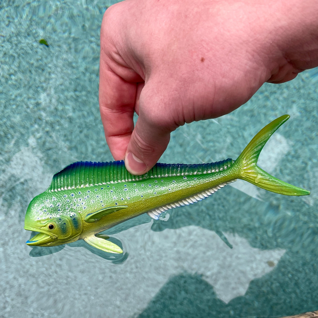 Safari Ltd. - Mahi-Mahi Fish Kids Toy Figure