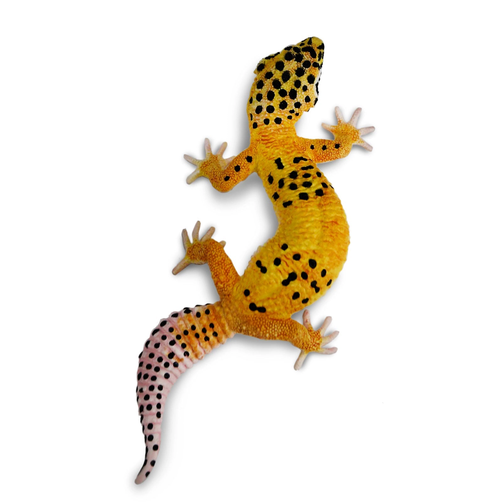 Safari Ltd. - Leopard Gecko Kids Toy Figure