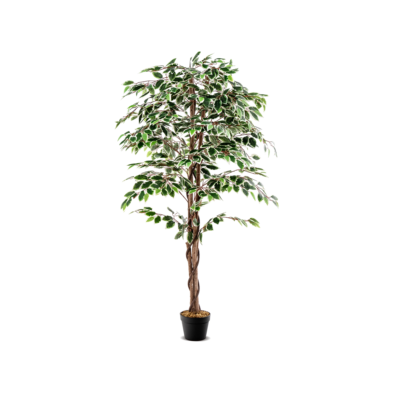 Slickblue 63 In Artificial Ficus Tree with 1008 Leaves for Indoor and Covered Outdoor Decor