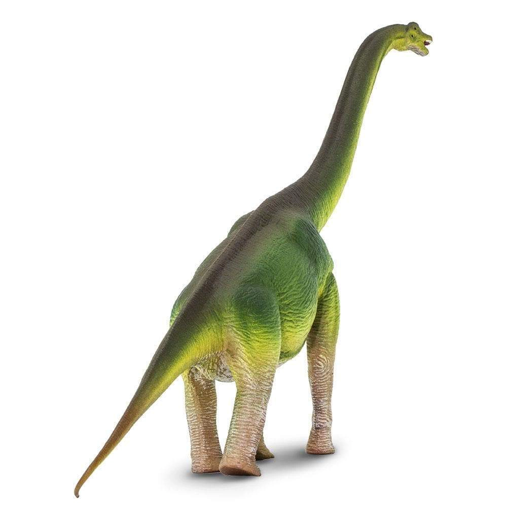 Safari Ltd. - Brachiosaurus Kids Prehistoric/Dinosaur Toy Figure