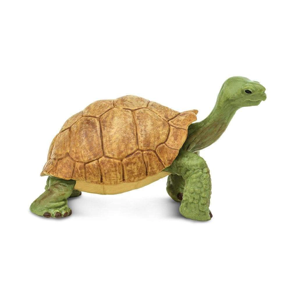Safari Ltd. - Giant Tortoise Kids Toy Figure