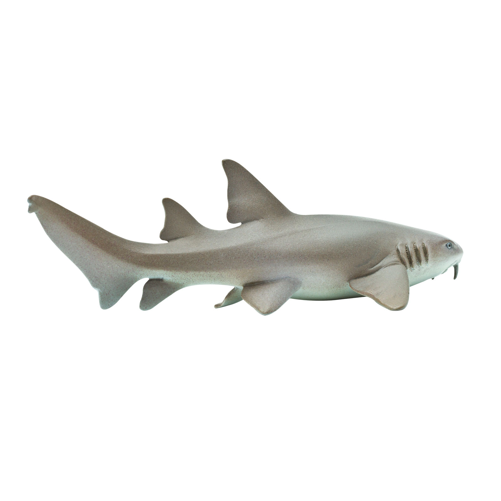 Safari Ltd. - Nurse Shark Kids Toy Figure