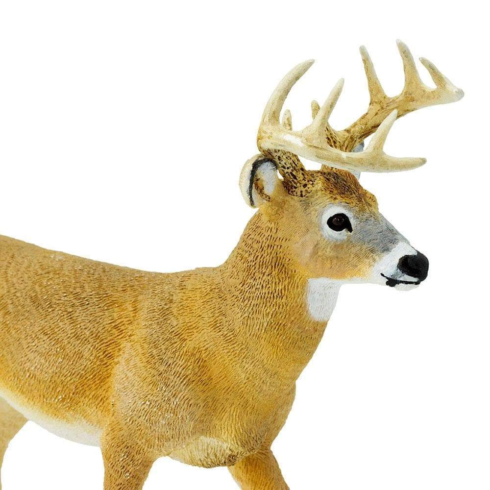 Safari Ltd. - Whitetail Deer Buck Kids Toy Figure