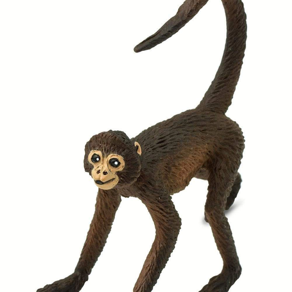 Safari Ltd. - Spider Monkey Kids Toy Figure