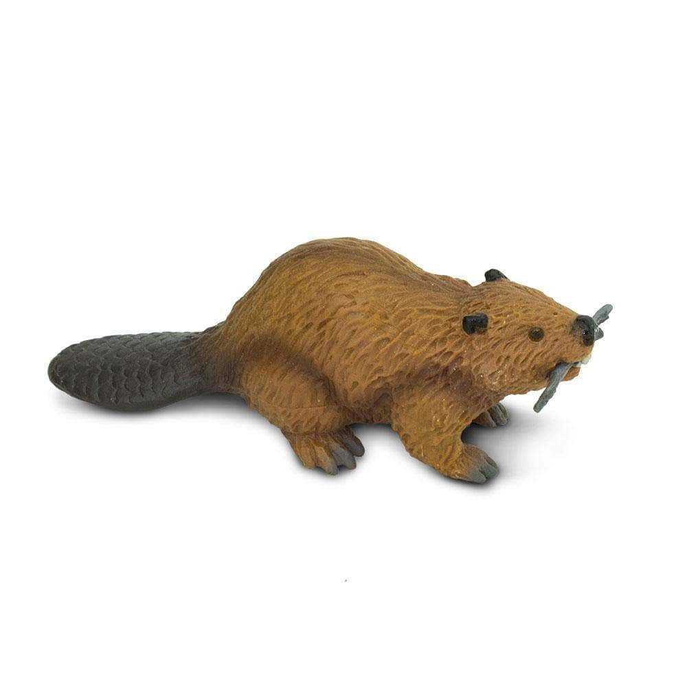 Safari Ltd. - Beaver Kids Toy Figure