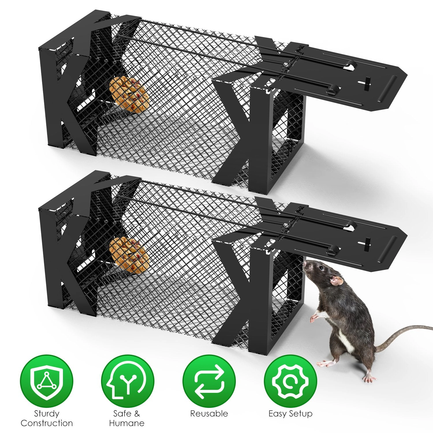 GBruno 2-Pc Live Catch Mouse Trap Cage