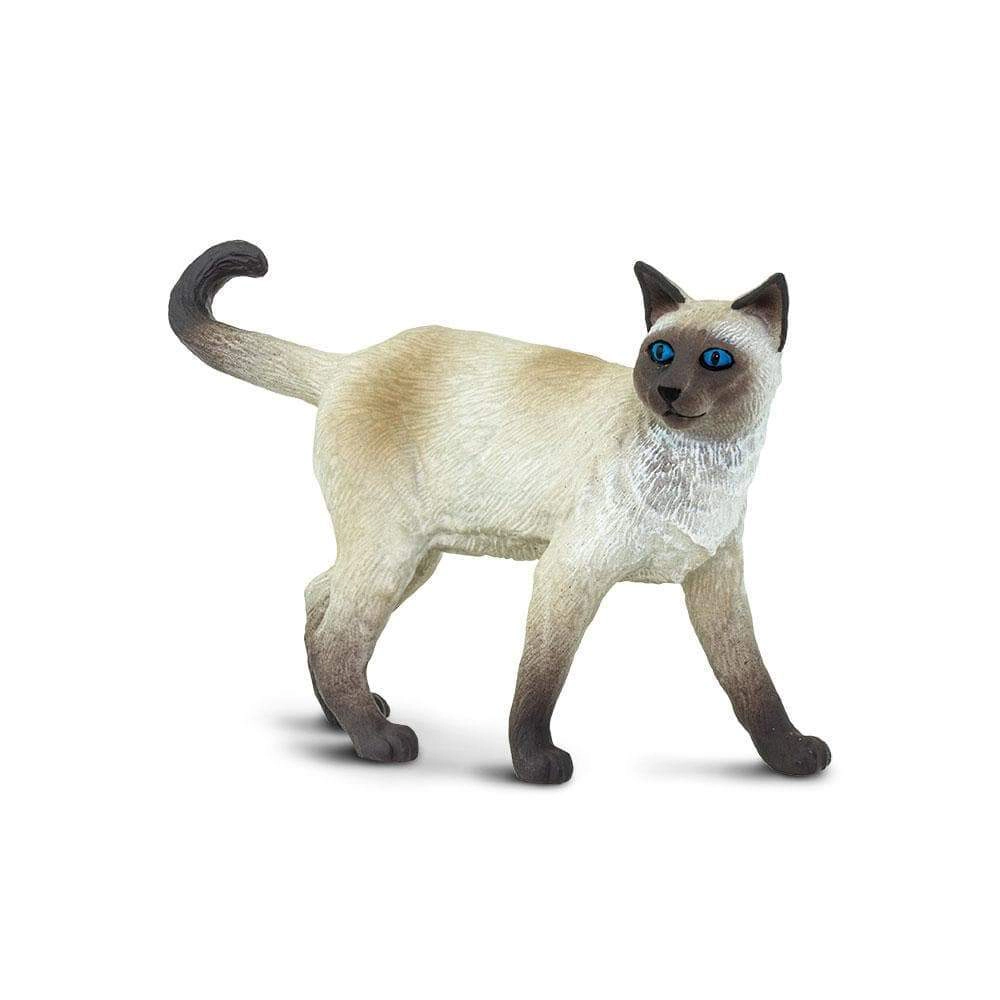 Safari Ltd. - Siamese Cat Kids Toy Figure
